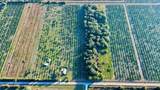 2205 Hicks Road - Photo 5