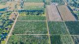 2205 Hicks Road - Photo 6