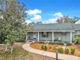 151 Pine Street - Photo 61