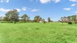 7729 Lake Andrea Circle - Photo 33