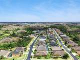 31518 Bearded Oak Drive - Photo 54