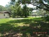204 Callitris Avenue - Photo 18