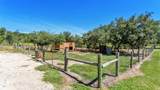 339 Mini Ranch Road - Photo 92
