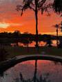 17802 Saint Lucia Isle Drive - Photo 77