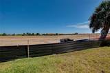 25060 Spartina Drive - Photo 64