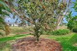 625 Misty Pine Drive - Photo 44