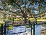 5365 Salcano Street - Photo 44