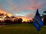 316 Citrus Open Drive - Photo 41