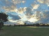316 Citrus Open Drive - Photo 43