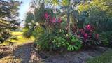 2815 Bay Side Drive - Photo 66