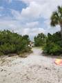 1709 Umbrella Tree Drive - Photo 29