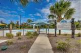 2737 Fern Palm Drive - Photo 34