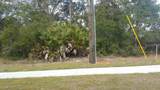 3710 Sandlor Drive - Photo 2