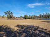 3142 Plymouth Sorrento Road - Photo 4