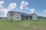 5851 Effie Drive - Photo 29