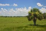  Schumann Road - Photo 2