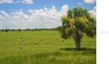  Schumann Road - Photo 4