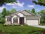 25129 Calusa Drive - Photo 1