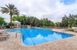 8102 Princess Palm Lane - Photo 14