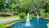 310 Vista Oak Drive - Photo 6