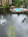 12527 Floridays Resort Drive - Photo 43