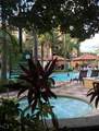 12527 Floridays Resort Drive - Photo 49
