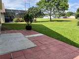 5351 Los Palma Vista - Photo 33