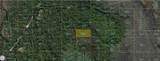  Holopaw Groves Road - Photo 1