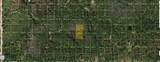  Holopaw Groves Road - Photo 1