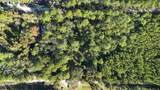 214 Mourning Dove Road - Photo 4