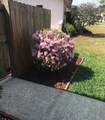 5138 Andrea Boulevard - Photo 49