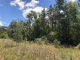 15107 Canvasback Road - Photo 2