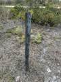 19324 304TH Street - Photo 13