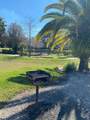 2025 Dixie Belle Drive - Photo 37