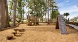 2820 Black Birch Drive - Photo 48