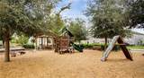 2820 Black Birch Drive - Photo 50