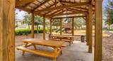 2820 Black Birch Drive - Photo 51