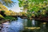 204 Tomoka Trail - Photo 35