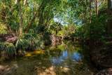 204 Tomoka Trail - Photo 37