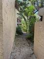 213 Tomoka Trail - Photo 19