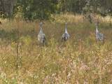 6037 Lake Erie Road - Photo 75
