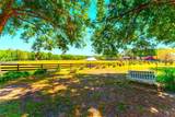 35841 Timbertop Lane - Photo 89