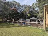 740 Palomino Street - Photo 38
