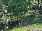 33053 Smallman Street - Photo 11