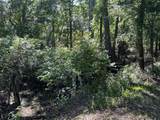 33053 Smallman Street - Photo 13