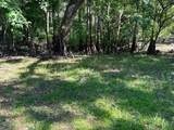 33053 Smallman Street - Photo 5