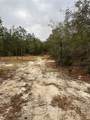 4625-4651 Kelly Park Road - Photo 3