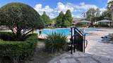 6434 Cava Alta Drive - Photo 47