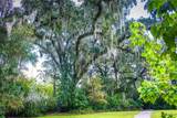 552 Walker Street - Photo 24