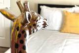 8101 Resort Village Drive - Photo 22